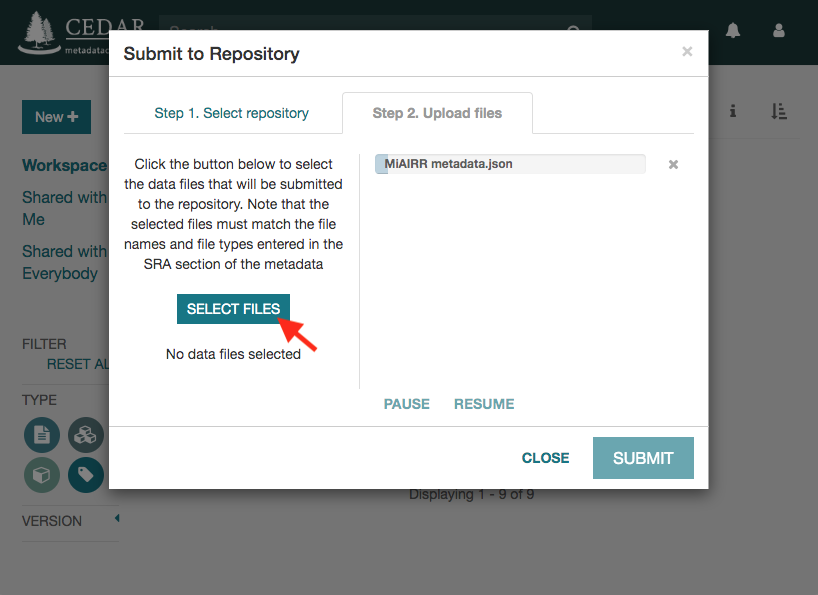 ../_images/CAIRR_submit_3.png
